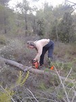 4) Hij zaagt bomen om