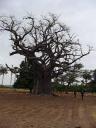 Burkina 036 (240x320)