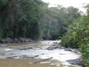 Gabon 055 (640x480)