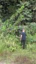 Gabon 071 (360x640)