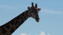4) Welkom in Etosha (640x360)