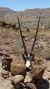 Namibie 057 (360x640)