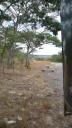 Zimbabwe 100 (360x640)