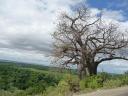West Tanzania (10) (640x480)