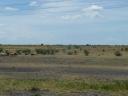 West Tanzania (24) (640x480)
