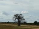 West Tanzania (25) (640x480)
