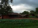 Noordelijk Tanzania2 018