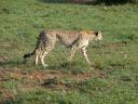 Ma en Mike in Kenia 017