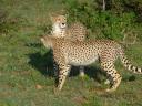 Ma en Mike in Kenia 021