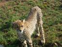 Ma en Mike in Kenia 028