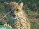 Ma en Mike in Kenia 030