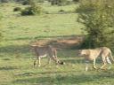 Ma en Mike in Kenia 031