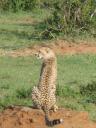 Ma en Mike in Kenia 034
