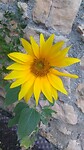 De zon schijnt volop