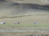 78.In het veld vinden we de Oosterijkers terug_