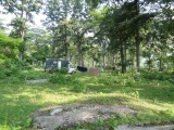 33. Fantastisch plekje in het bos_