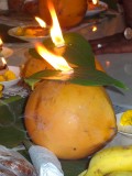 24) kokos kandelaar