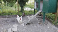 IMG_20170621_190456