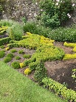 IMG_2581