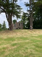 IMG_2589