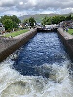 IMG_2710