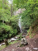 IMG_2728
