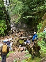 IMG_2729