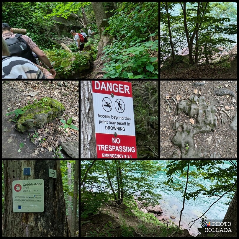 IMG-20240603-WA0004