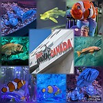 IMG_20240607_125845