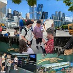 IMG_20240607_130610