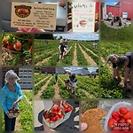 IMG-20240609-WA0002