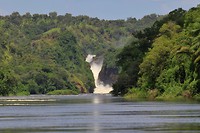 Waterval