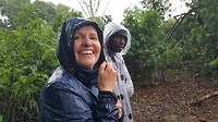 Gorilla tracking