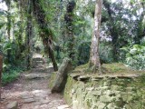 La Ciudad Perdida 2