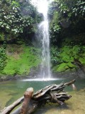waterval in jungle van San Cipriano