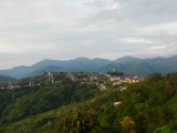 Salamina