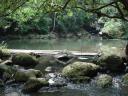 waterval tijdens gibbonexperience