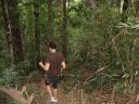 trekking tijdens gibbon experience