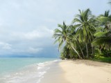 Little Corn Island