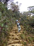 op weg naar basecamp op Mount Kinabalu
