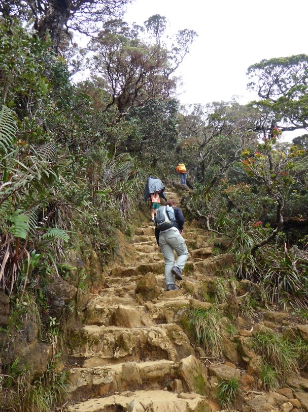 op weg naar basecamp op Mount Kinabalu