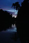 zonsondergang in de jungle