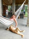 Lieve Koekie....