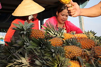 Even ananas proeven.