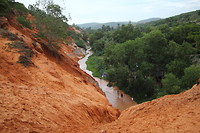 Fairy stream