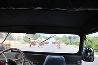 onderweg naar White sand dunes