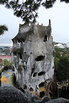 Grazy house