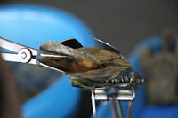 Implantatie voor parelgroei