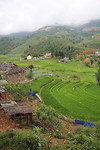 Omgeving Sapa