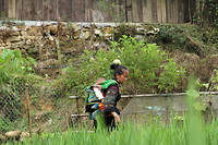 Omgeving Sapa
